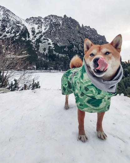 Dog Winter Outfit