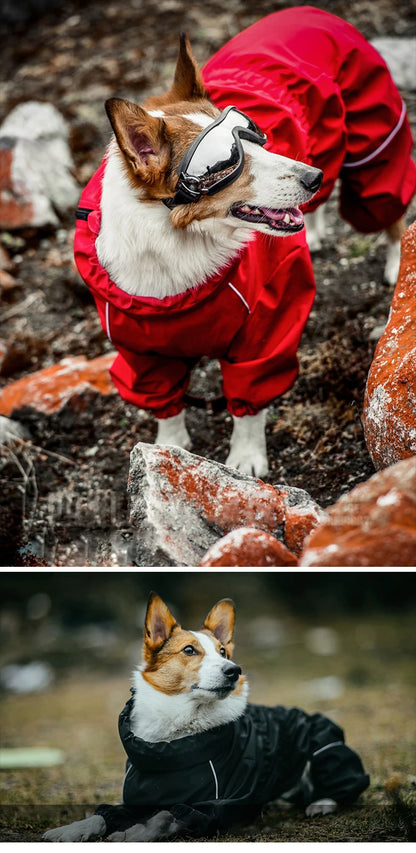 Outdoor Dog Jacket