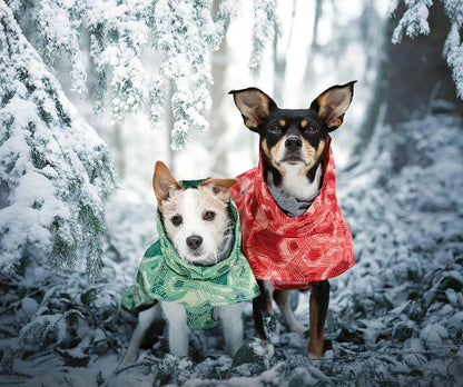 Dog Winter Outfit