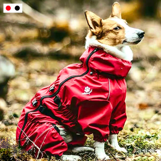 Outdoor Dog Jacket