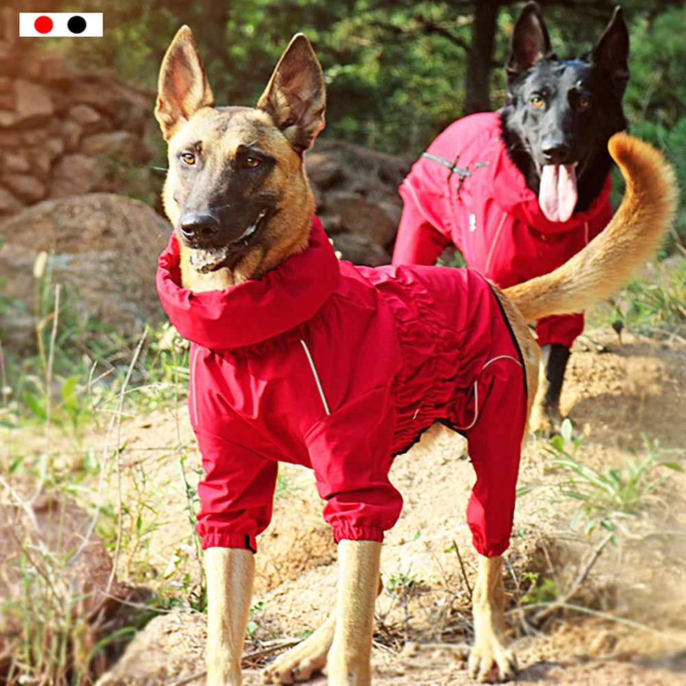 Outdoor Dog Jacket
