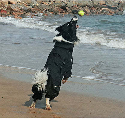 Outdoor Dog Jacket