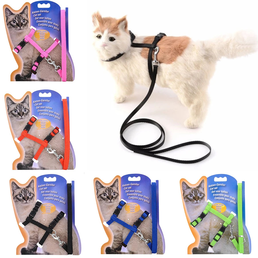 Pet Collar &amp; Leash Set