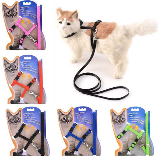 Pet Collar & Leash Set
