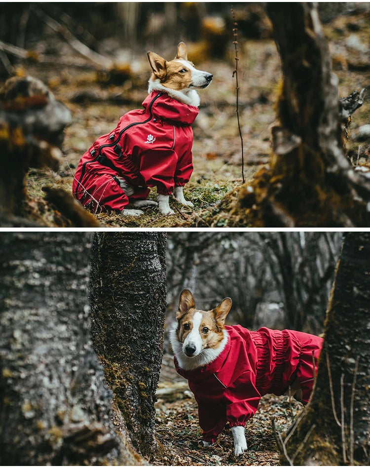 Outdoor Dog Jacket