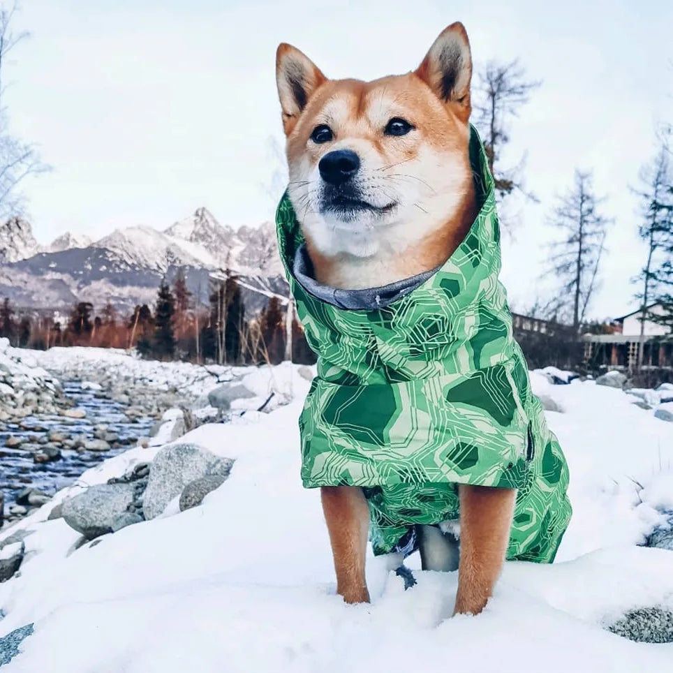 Dog Winter Outfit