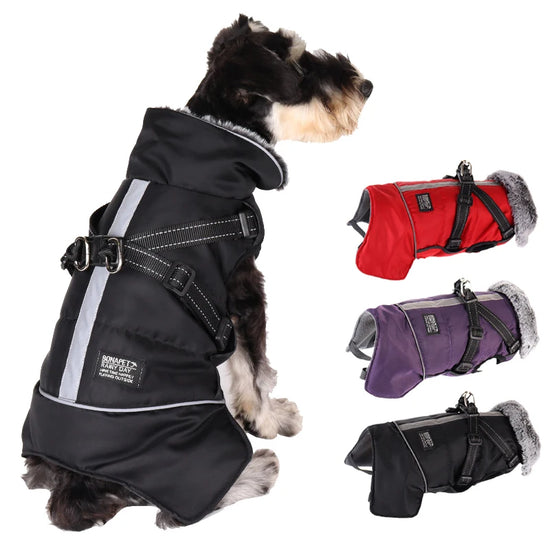 Winter Waterproof Dog Jacket