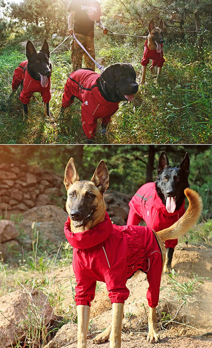 Outdoor Dog Jacket