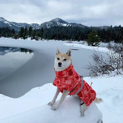 Dog Winter Outfit