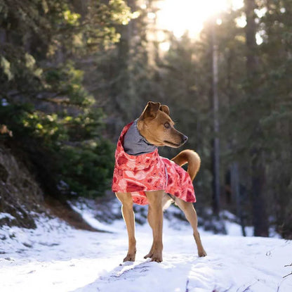 Dog Winter Outfit
