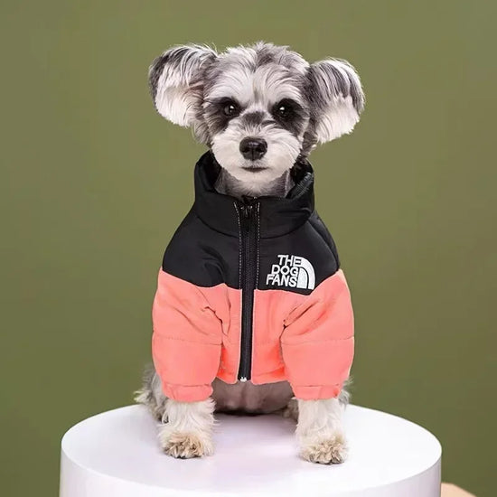 Winter Padded Dog Coat