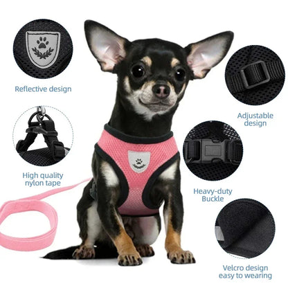 Dog Harness &amp; Leash Set