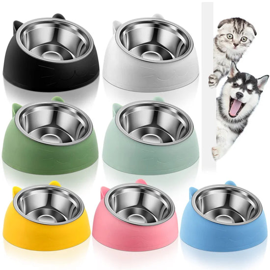 Stainless Steel Pet Food & Water Bowl