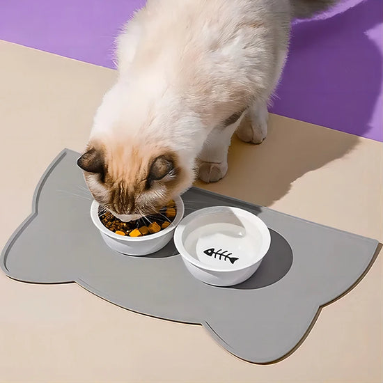 Silicone Pet Feeding Mat