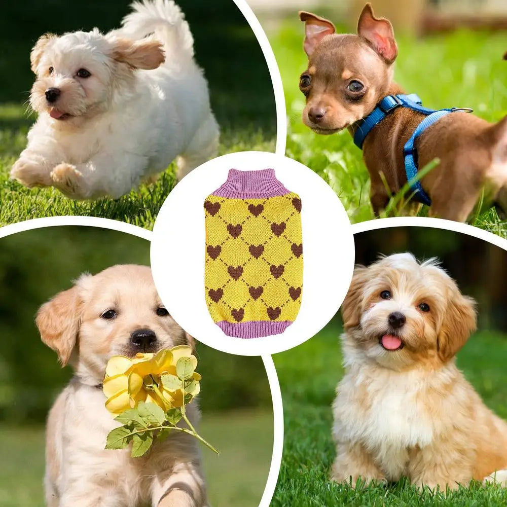 Dog Knitted Sweater