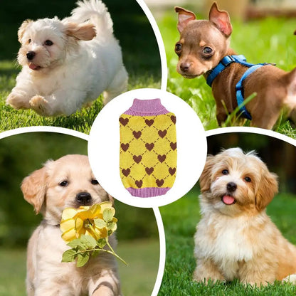 Dog Knitted Sweater