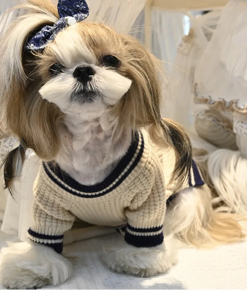Pet Bear Sweater