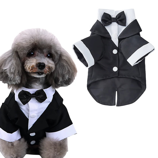 Pet Tuxedo Suit