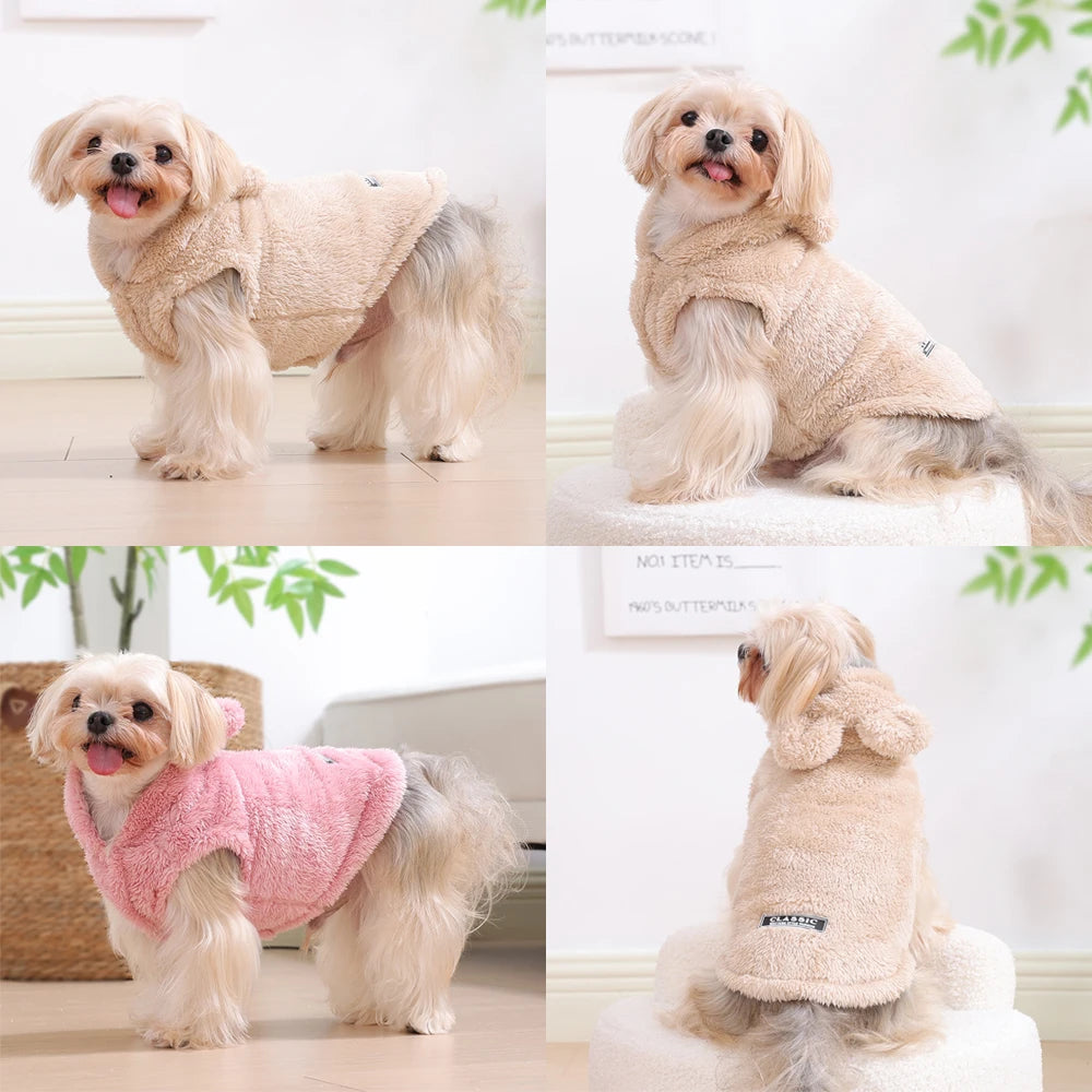 2025 Fashion Pet Sweater