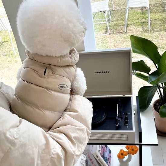 Lightweight Dog Jacket