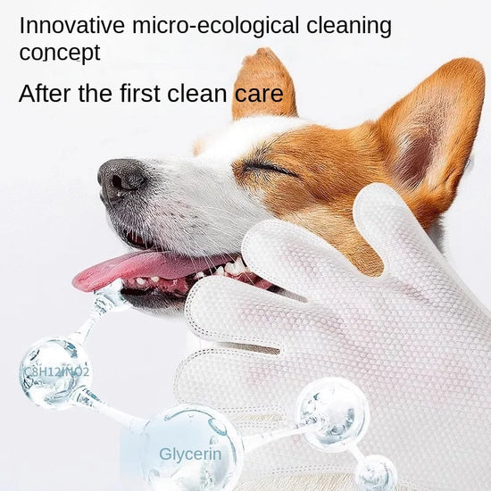 Pet Deodorizing Cleaning Spray