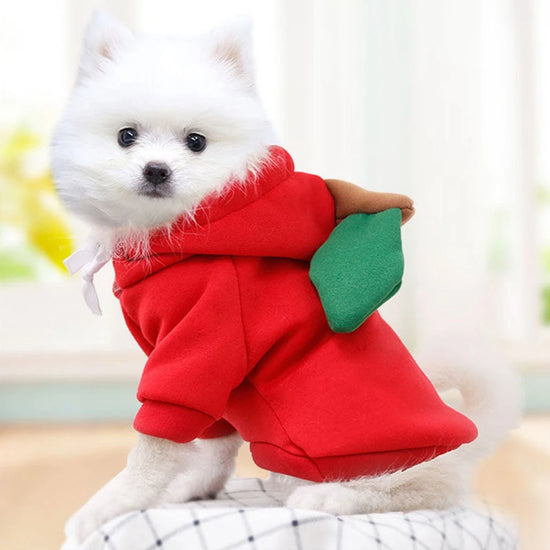 Winter Dog Sweatshirt