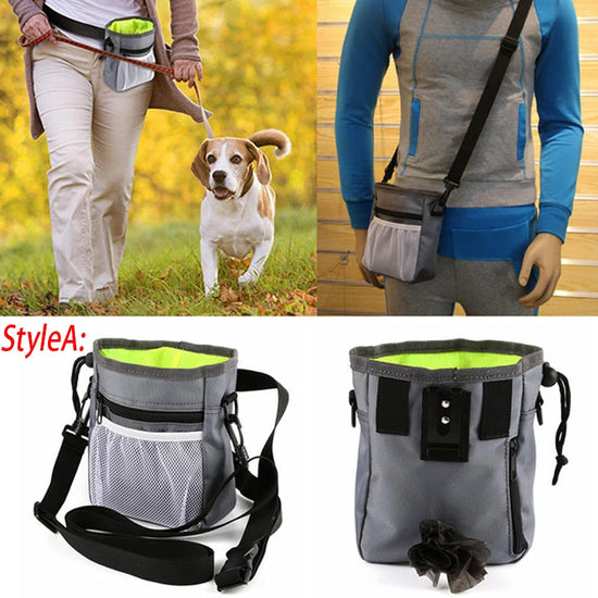 Dog Carrier Handbag