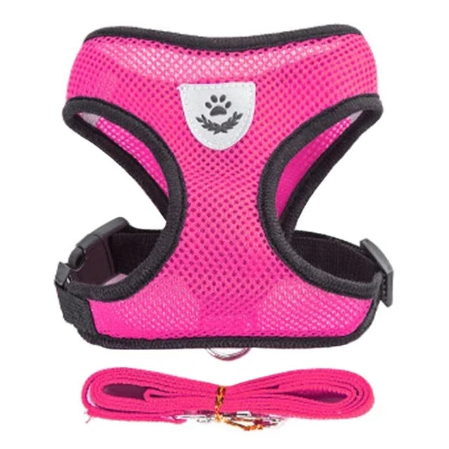 Dog Harness &amp; Leash Set