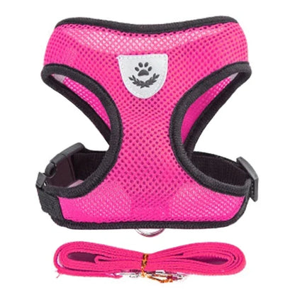 Dog Harness &amp; Leash Set