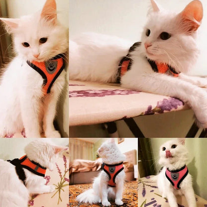 Dog Harness &amp; Leash Set