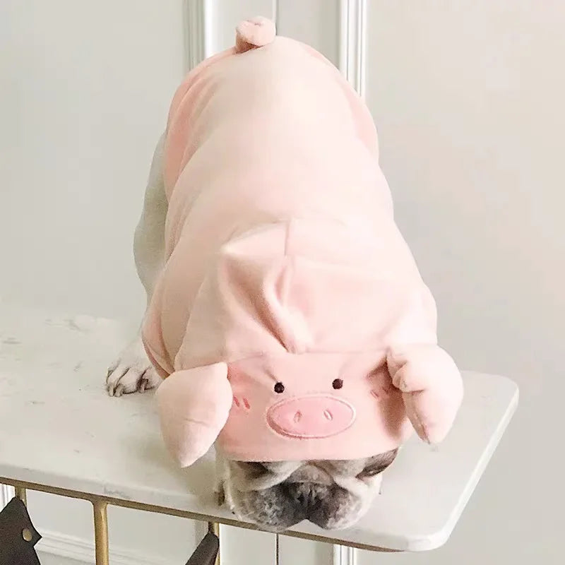 Halloween Puppy Outfit