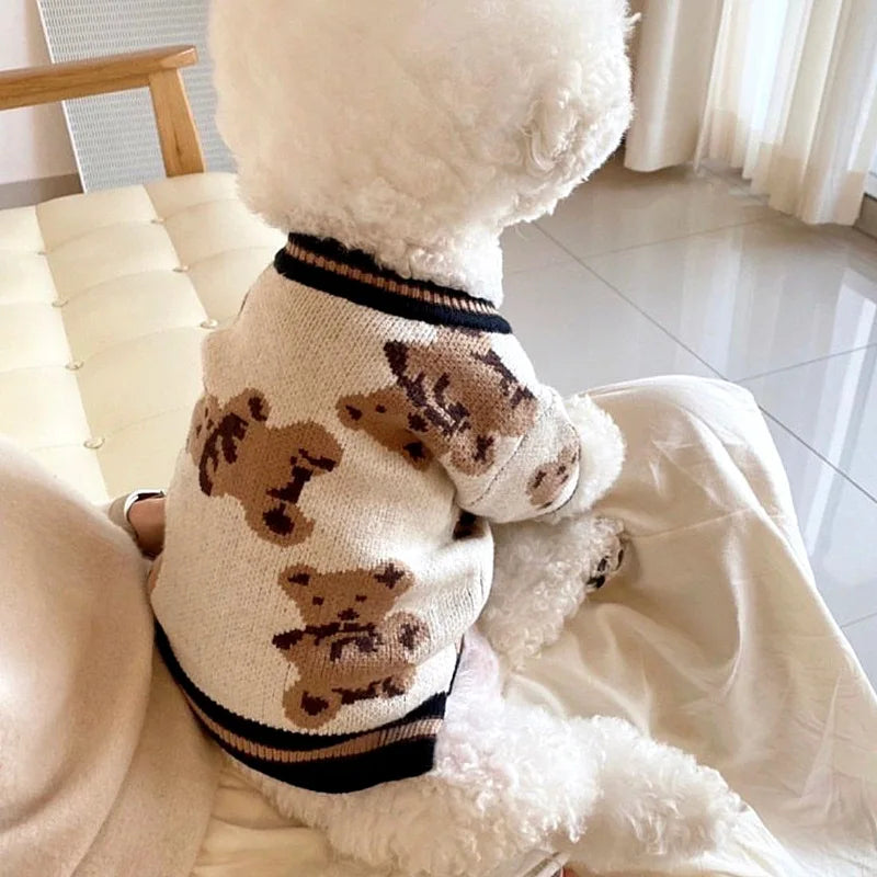 Cute Bear Print Dog Sweater