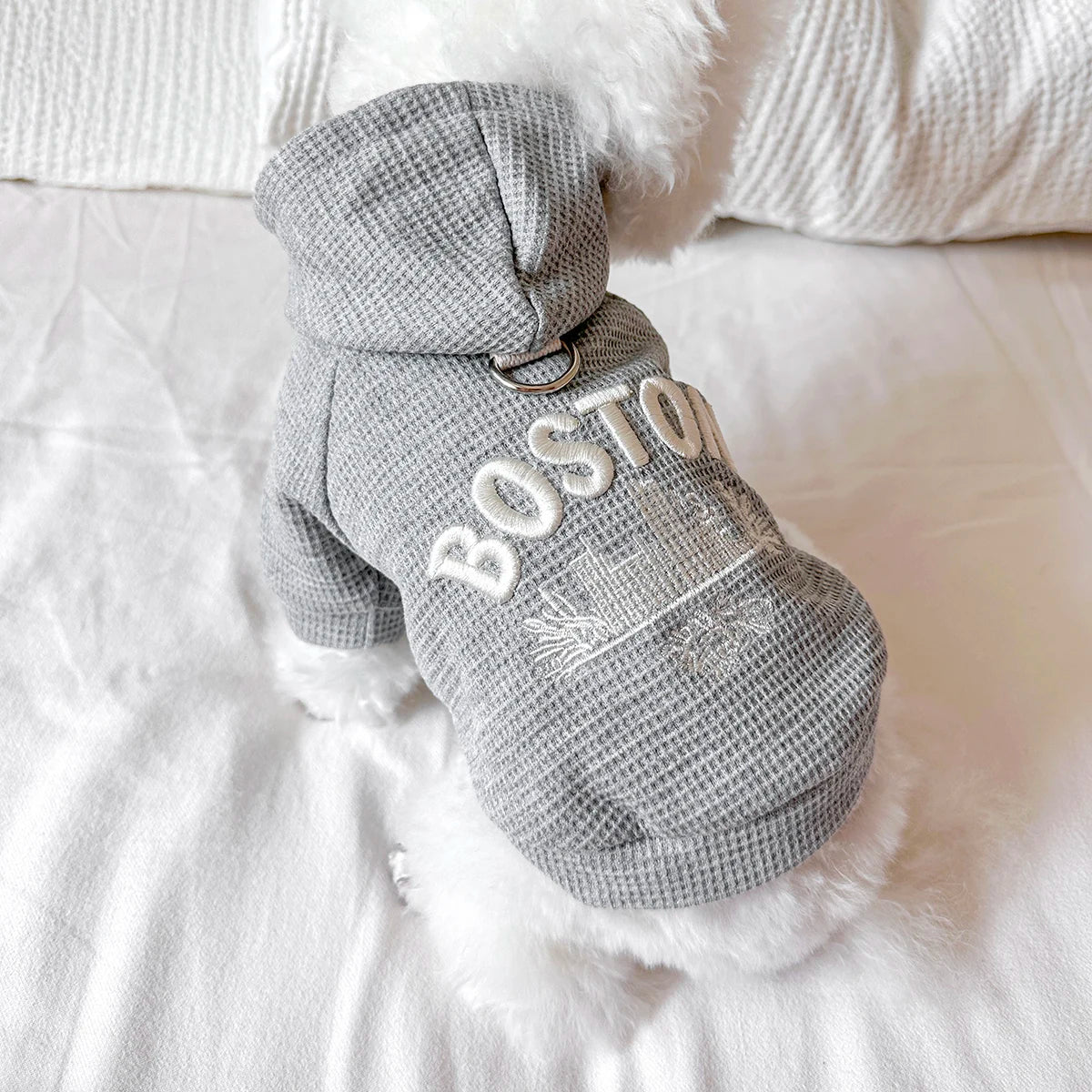 Cute Casual Pet Sweater