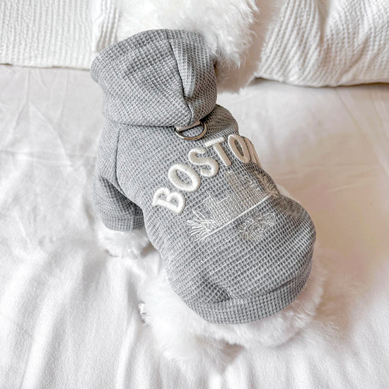 Cute Casual Pet Sweater