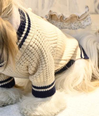 Pet Bear Sweater