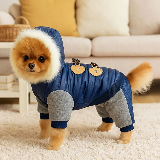 Hooded Windproof Thick Winter Jacket