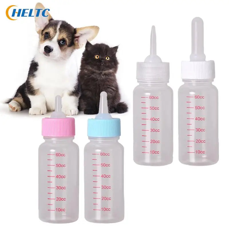 Pet Feeder Syringe Tablets &amp; Deworming