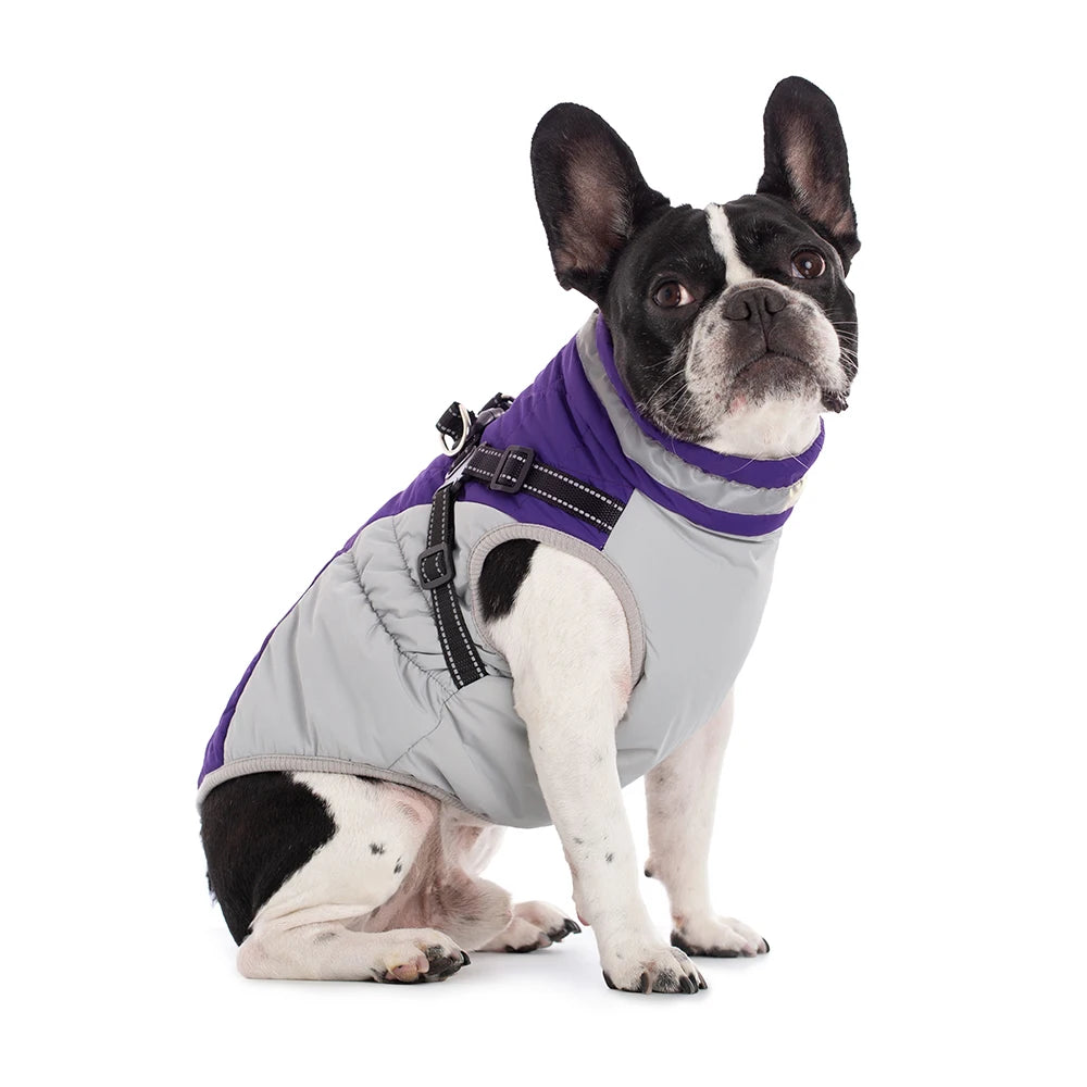 Dog Winter Coat with Harness