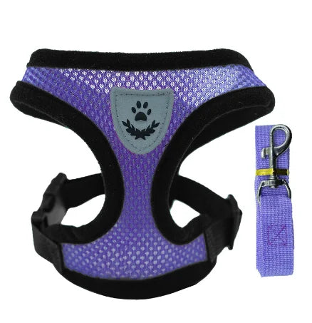Dog Harness & Leash Set