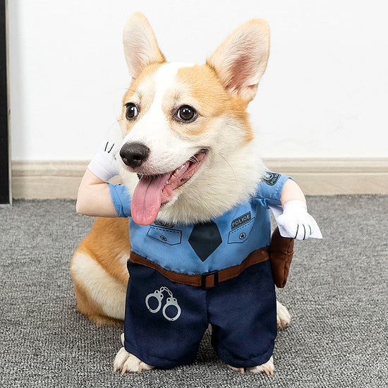 Funny Halloween Dog Costume
