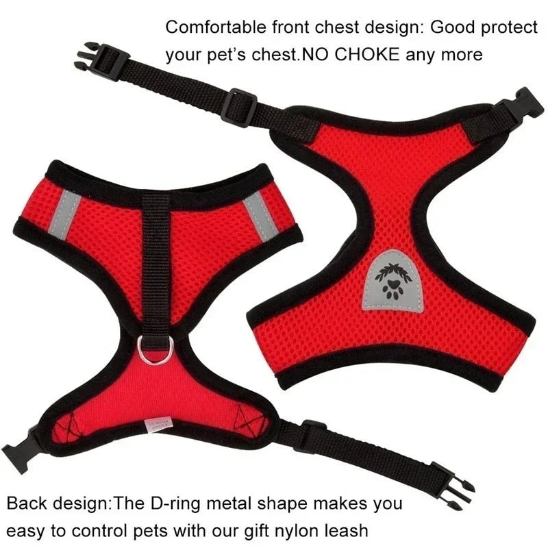 Dog Harness &amp; Leash Set