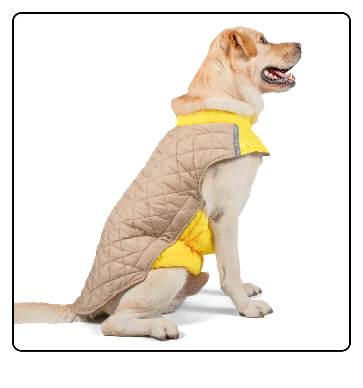 Warm Waterproof Dog Jacket