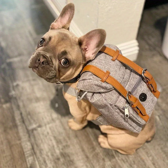 Multifunctional Pet Dog Backpack Pet Carrier Puppy Bag Dogs Outdoor Travel Dog Snacks Backpack French Bulldog Dog Accessories