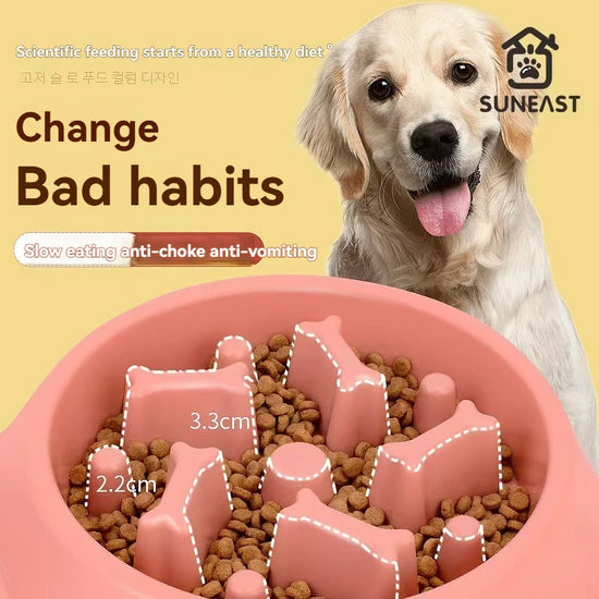 Pet Food Bowl