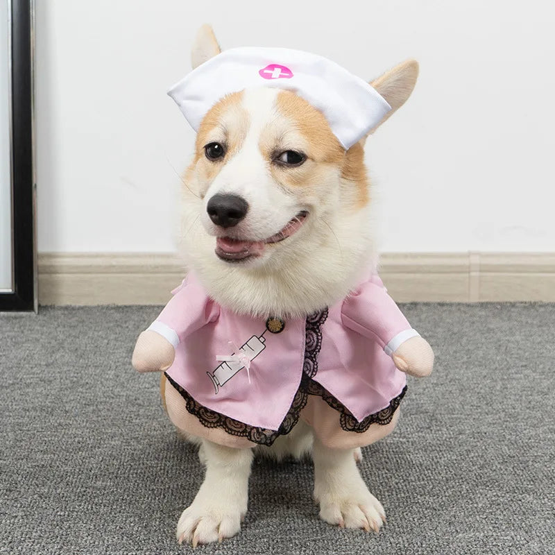 Funny Halloween Dog Costume