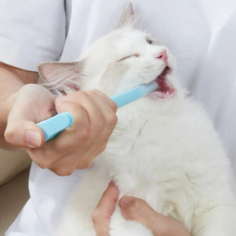 Easy-Use Pet Pill Dispenser