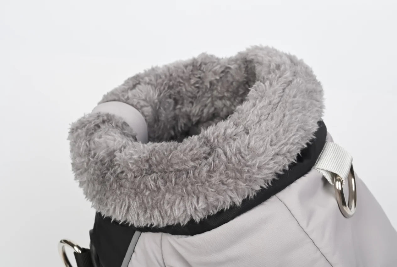 Dog Winter Coat