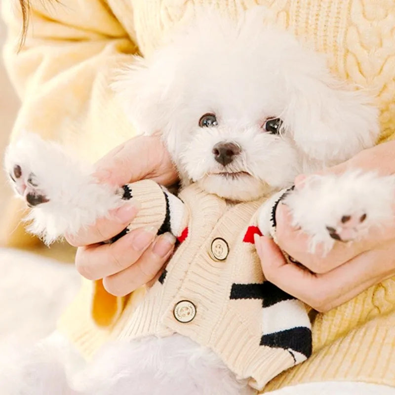 Cute Bear Print Dog Sweater