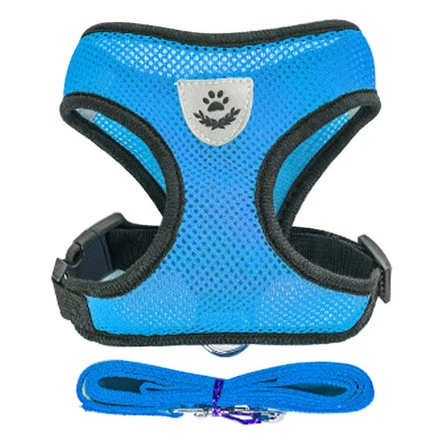 Dog Harness & Leash Set