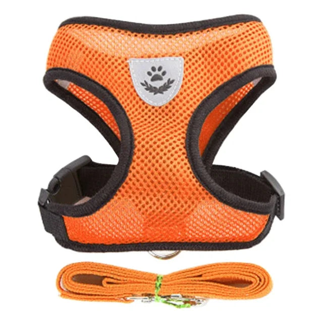 Dog Harness & Leash Set